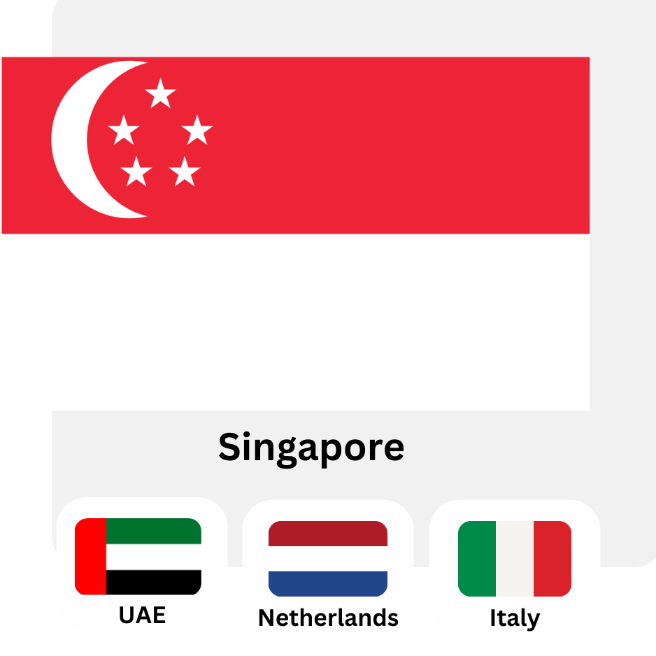 Flag 10