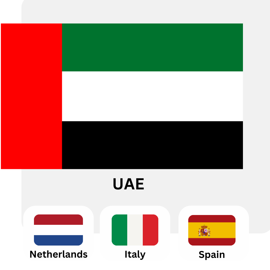 Flag 11