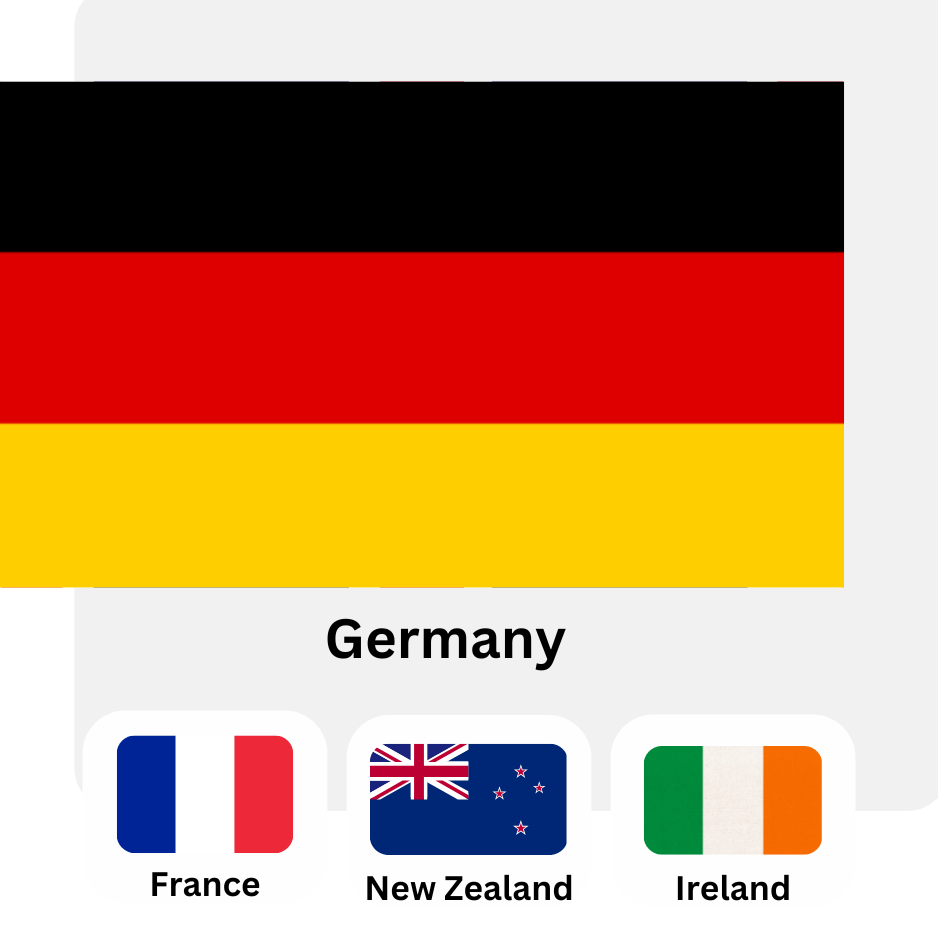 Flag 6