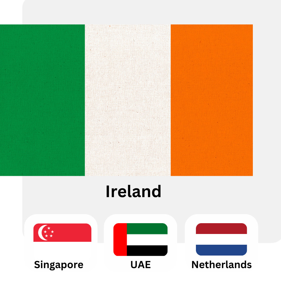 Flag 9
